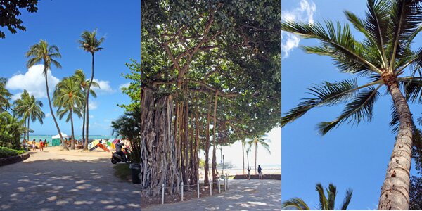 WaikikiHonolulu