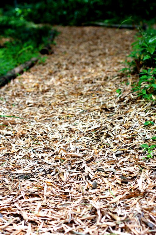 BambooLeafPath