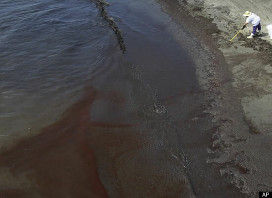 slide_6519_98541_large