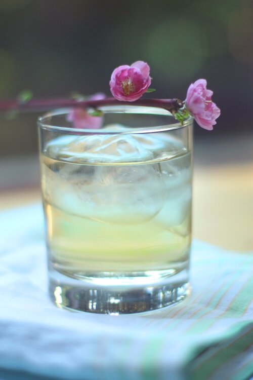 Homemade Umeshu