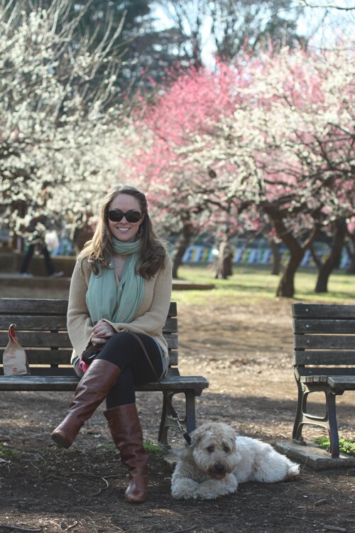 Plum Blossom Viewing