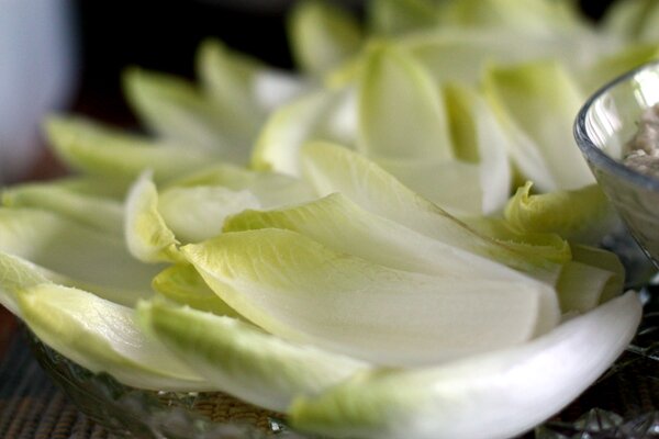 Endive