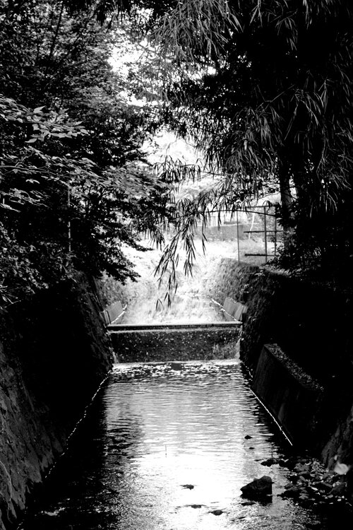 Peace Like a River