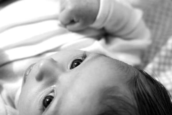 Riley Portrait 1.1