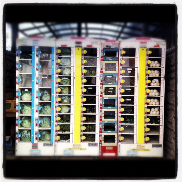 Vegetable Vending Machine